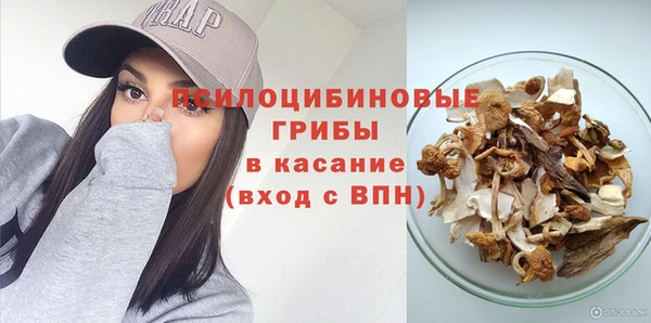 прущая мука Болхов