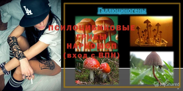 PSILOCYBIN Абаза