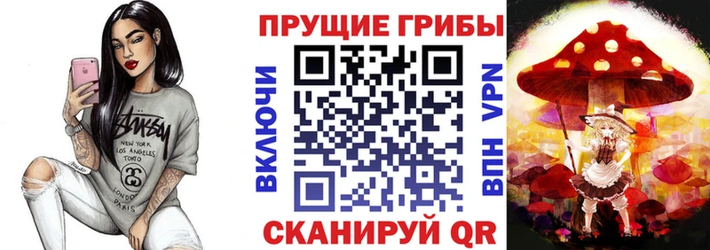 Псилоцибиновые грибы мицелий  МЕГА ССЫЛКА  Кизляр  купить наркотик 
