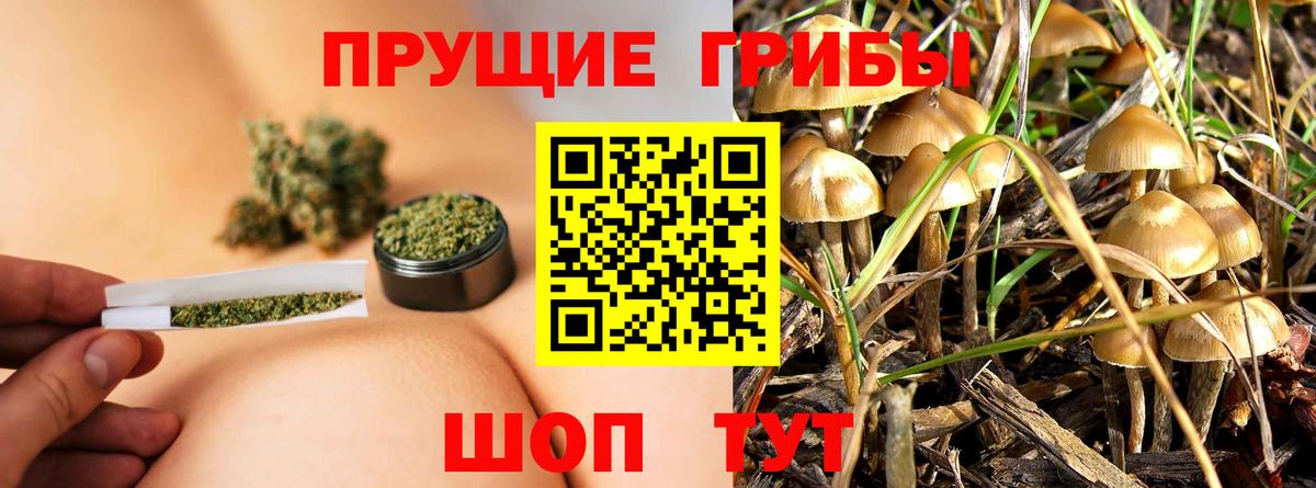 Кизляр  Псилоцибиновые грибы Psilocybine cubensis  Вход с VPN  Галлюциногенные грибы Psilocybine cubensis 