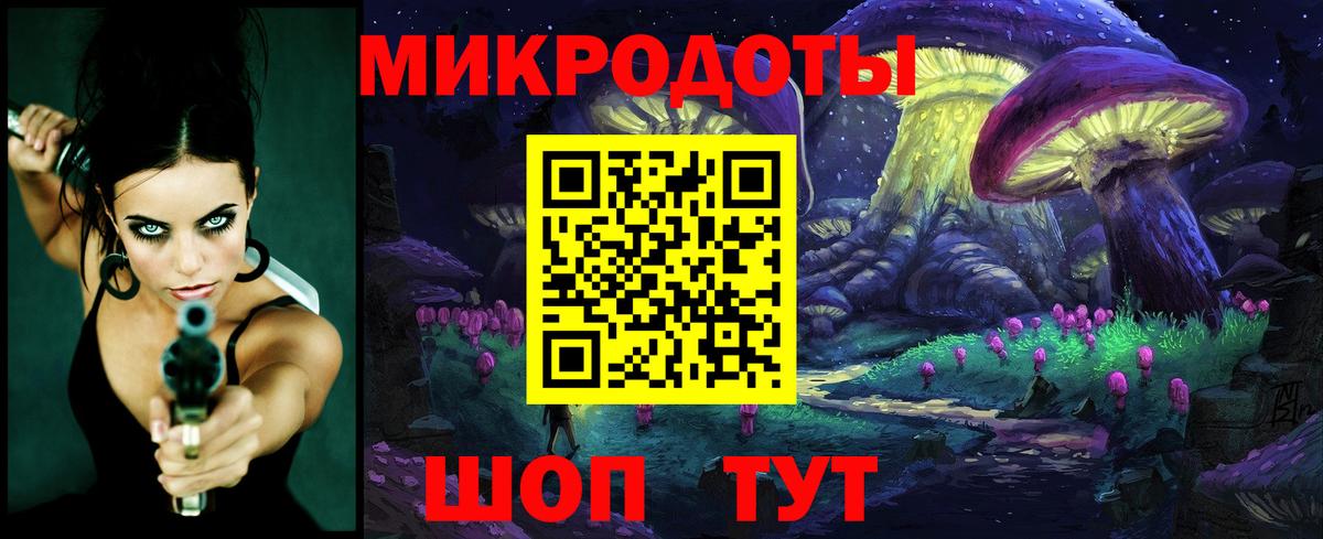 Псилоцибиновые грибы Cubensis Кизляр